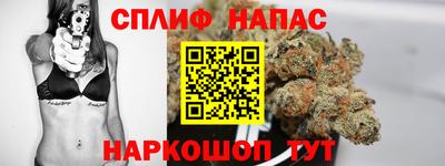 Альфа ПВП Керчь