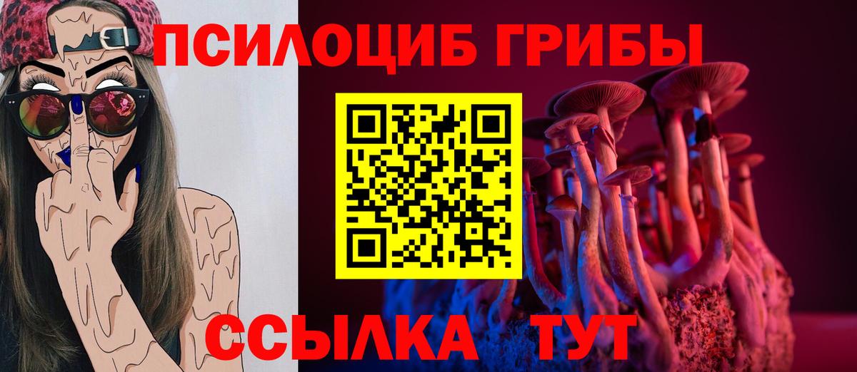 Псилоцибиновые грибы Magic Shrooms  Галлюциногенные грибы Psilocybine cubensis  Вход с VPN  Дивногорск 