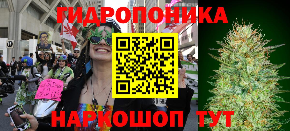 Каннабис ГИДРОПОН Дивногорск